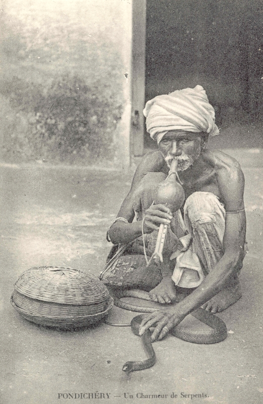 15-16 - Pondichery - charmeur de serpent - 3